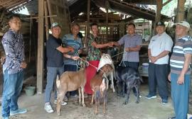 Lurah Pantau Langsung Lanjutan Distribusi Kambing dari BUMKal ke Tiga Padukuhan